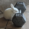 Coelho Fofo Reações 🐰 13