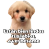 @ballolet888 Están bien lindos tus labios, a verbésame