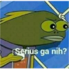Meme Spongebob 13