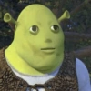 Shrek memes 😂 9