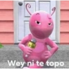 Wey ni te topo
