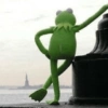 Sapo dos memes🐸 14