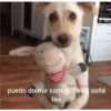 Quiere que le baile 8