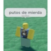 Roblox 15