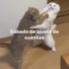 ✨Meme mix 4🔥 10