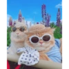 Gatos fofinhos 😍 13