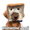 @ballolet888 Cómeme ami