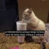 Cinamonroll 13