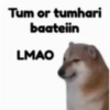 Sukkuu 19