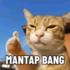 Meme Kucing #3 10