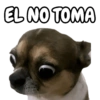 🐕🐶Perrito sin palabras 😬🙁 13