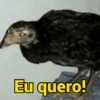 Eu quero!