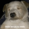 Orale bro ps ta chido
