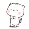 C s 조