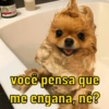 LAVE
STARFIRE
Ce D
GREE
você pensa que
me engana, né?