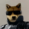 Animalitos con gafas 15