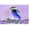 Memes negativos (invertidos) 15