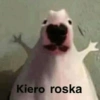 Memes Demasiado Random 15