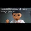 Pelerajg 12