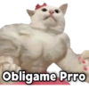GeysiOy
Obligame Prro
