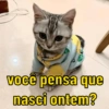 você pensa que
nasci ontem?