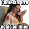 Contesta prro
estás en línea