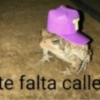 te falta calle