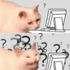 ? B ?? ? - ?