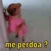 me perdoa?