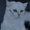 Anime And Cats 11