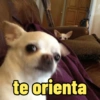 te orienta