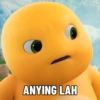 ANYING LAH