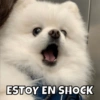 ESTOY EN SHOCK