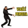 VOCÊ É PERFEITA