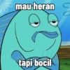 mau heran tapi bocil