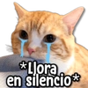 *Llora
en silencio