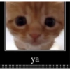 ya