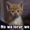 GeysiOy
No wa iorar we