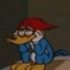 Picapau deboches 11