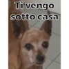 Ti vengo
sotto casa