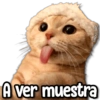mane stickers
A ver muestra