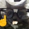 ShitPost Chat 19