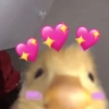 Só reações de bichinhos 💖 11