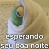 7
esperando
seu boa noite