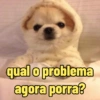 qual o problema
agora porra?