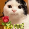 NOVOS MEMES!!! 14