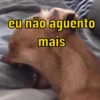 eu não aguento mais