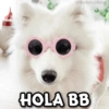 @ciseelove Stickers
HOLA BB