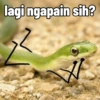 Cute snake 14