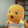 Hoak Hoakkk